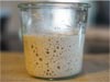 Sourdough Starter