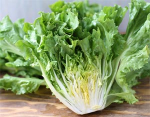 Escarole